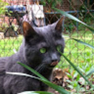 Meet your Posher, Kerrie